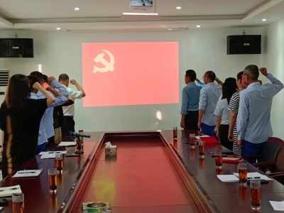 不忘初心，砥礪前行——創(chuàng)輝電氣黨支部開展“對黨說句心里話”主題黨日活動